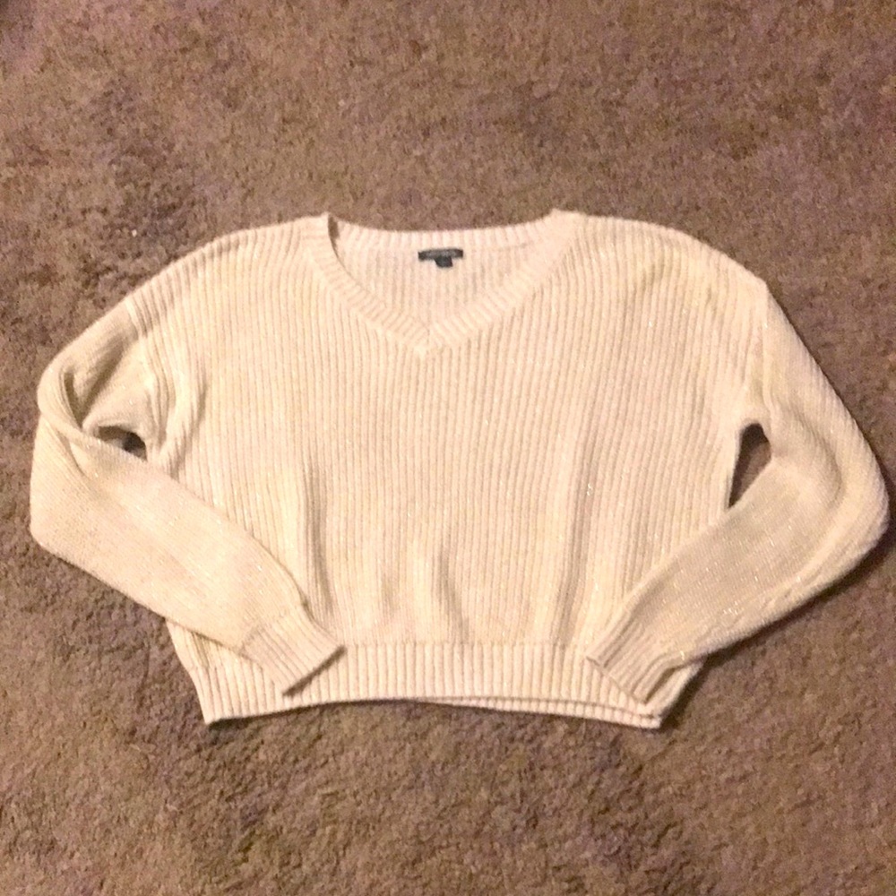 Wild fable cream cropped sweater